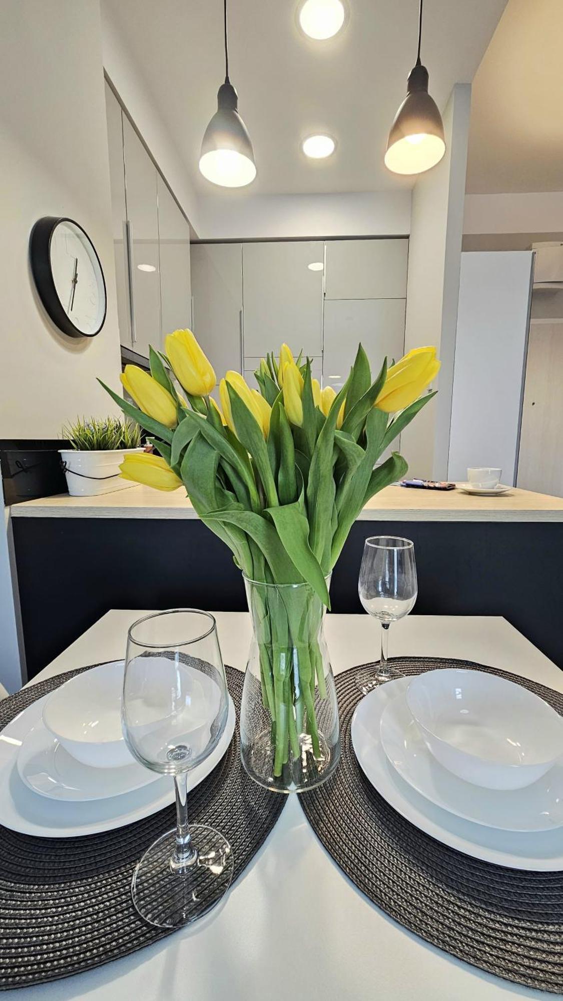 Czechowska Perfect Apartment Lublin