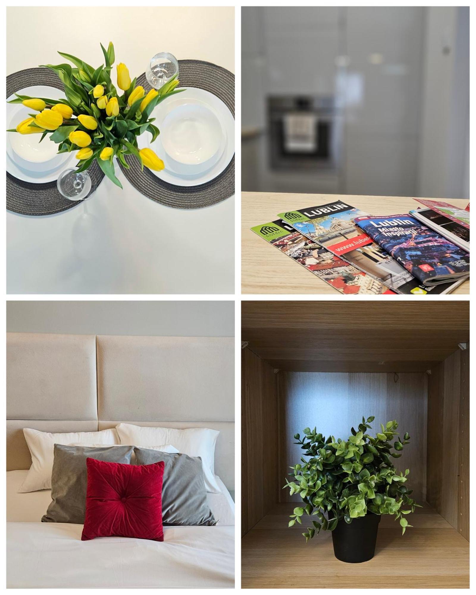 Apartment Czechowska Perfect Lublin